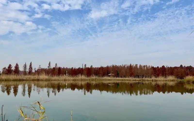 五十岁考注会开启职业新篇章