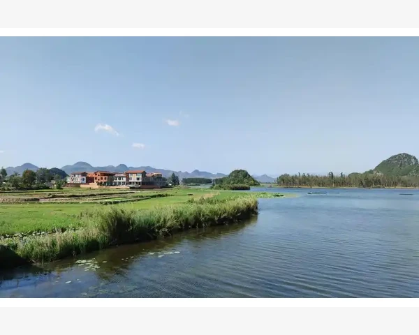 大蒜姜能否止咳化痰？探讨中医视角下的解答和使用建议